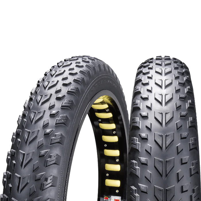 2 Stk. Chaoyang Fatbike Reifen Grand Canyon 26x4.0 100-559 Fat Bike Drahtreifen